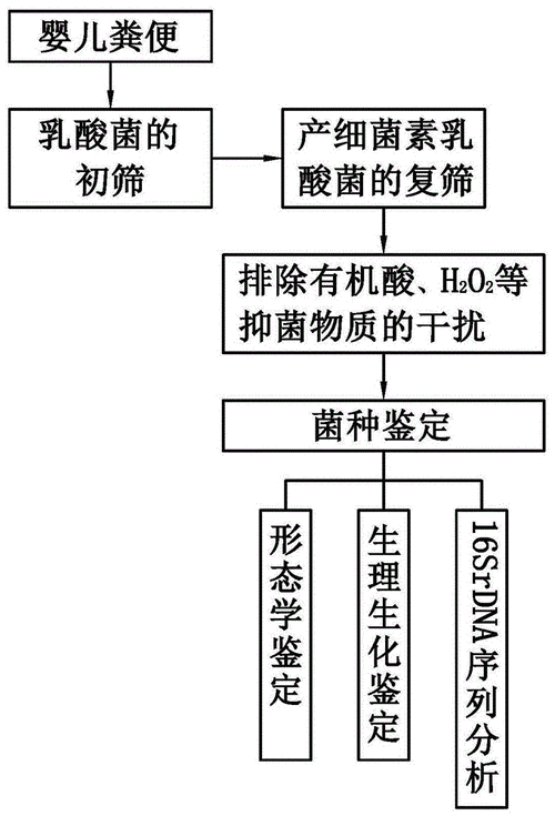 野生菌栽培技术?怎样取菌种野生菌种的采集野生菌采集办法出台 新款能源