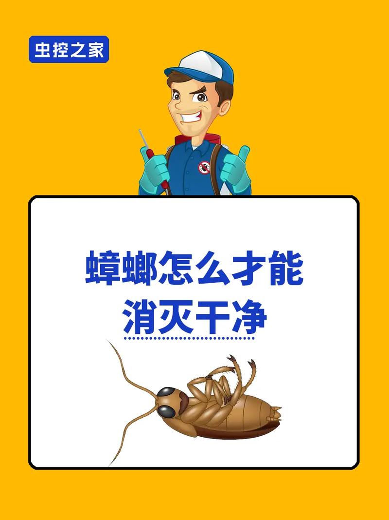 蟑螂为什么怕晒太阳广东蟑螂会飞吗我前几天把蟑螂带回家了，怎么办