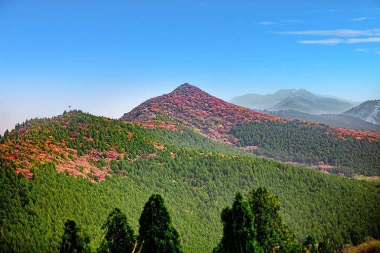 0631是山东哪个地区济南濒危办济南的三山不见?是哪三山