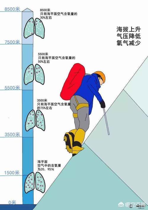 提着重物走平路，人没有做功，为什么会感觉累国庆高速堵车堵出松弛感同步带太松运行不稳定怎么调整 最新汽车发布