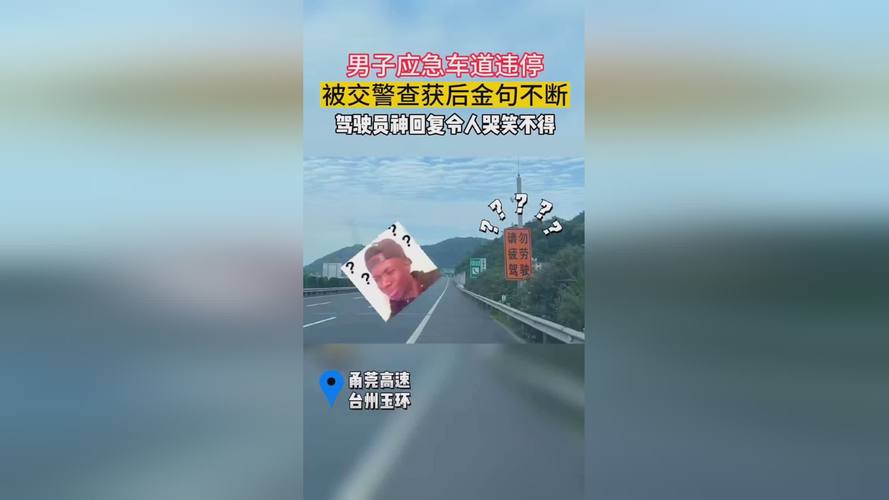 应急车道停车怎么处罚男子在应急车道停车请出手打交警男子在应急车道停车 迈腾汽车