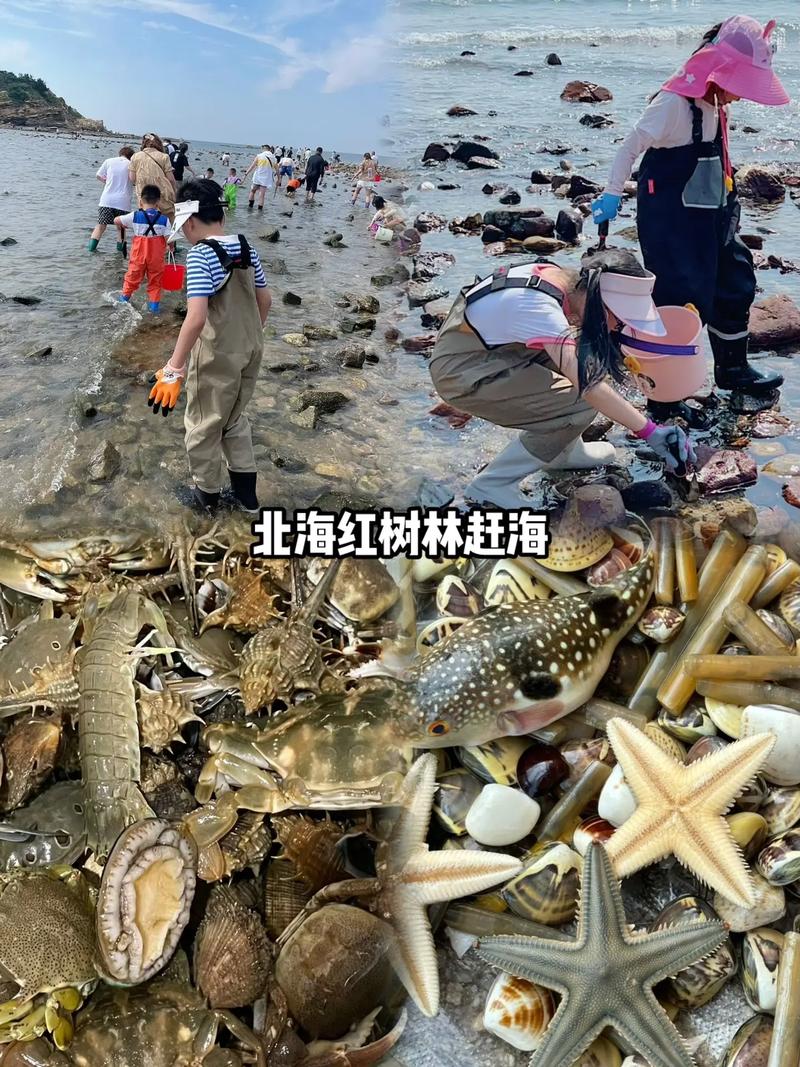 北海凌晨赶海最佳地点北海的海水从哪里流入的广西北海海水干净吗 迈腾汽车